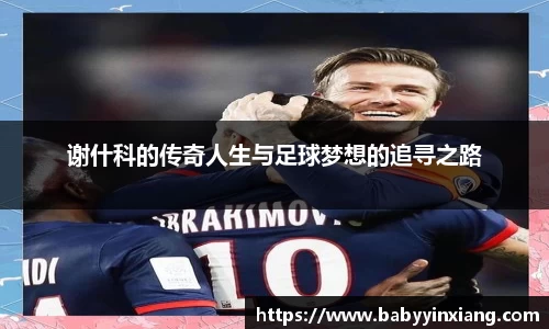 谢什科的传奇人生与足球梦想的追寻之路